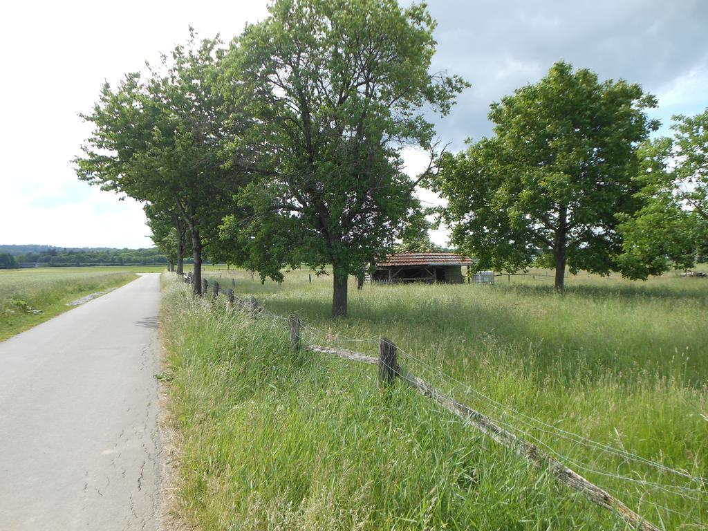 Hotel Pfeffermuehle Borchen Buitenkant foto